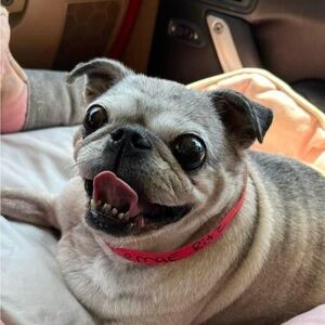 All $10 or less items are 4/$20